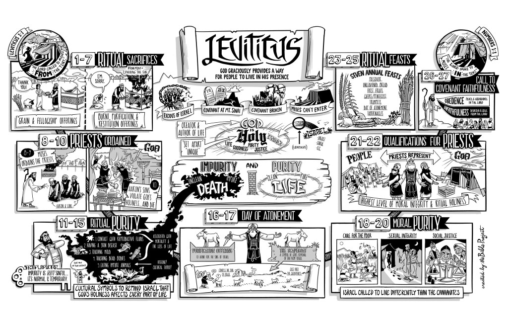 Overview: Leviticus |&nbsp;BibleProject