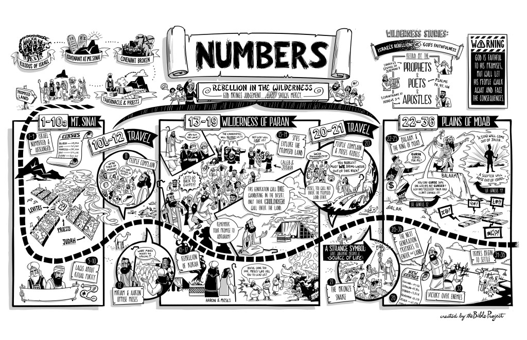 Overview: Numbers |&nbsp;BibleProject