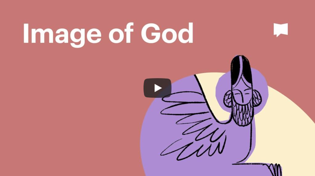 Biblical Themes: Image of God |&nbsp;BibleProject