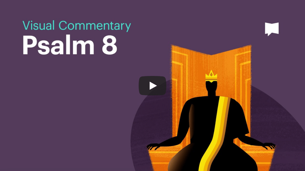 Visual Commentary: Psalm 8 |&nbsp;BibleProject